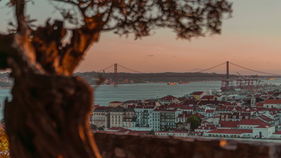 Circuito de 5 dias: Lisboa, Sintra, Fátima, Évora e Arrábida