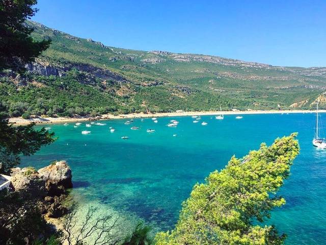 Comporta — ganztägig (8h) — 2