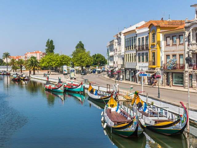 Transfer Lisboa → Aveiro, Fundão ou Albufeira