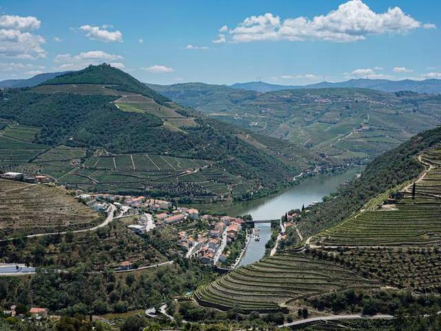 Douro — dia inteiro (14 h)
