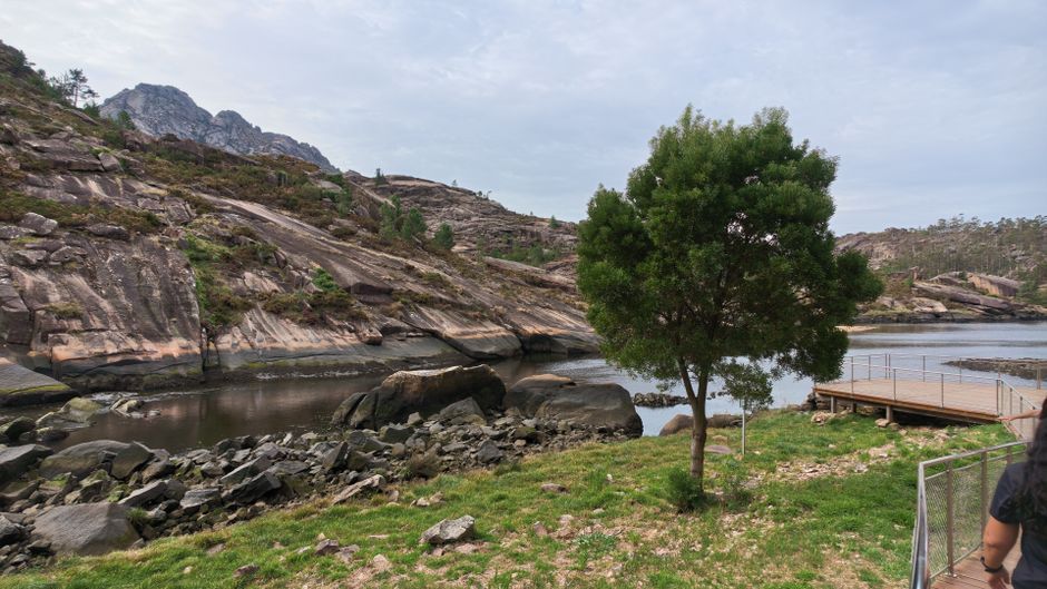 Aroeira