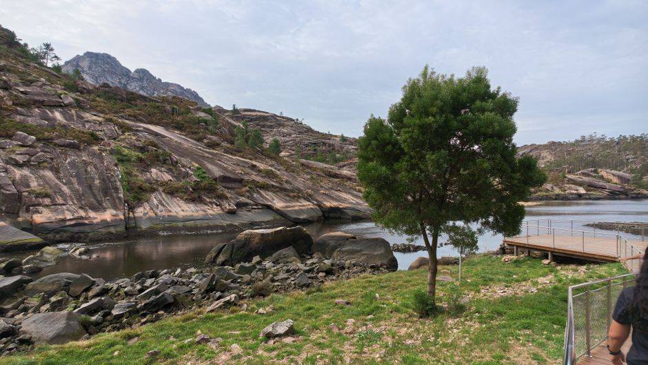 Aroeira
